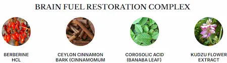 Phytomem One Ingredients 2