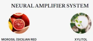 Phytomem One Ingredients 3