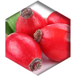 Rose Hips