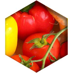Vitamin A Retinyl Palmitate