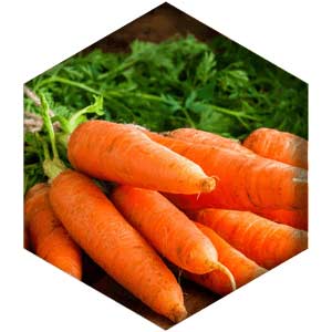 Beta-Carotene