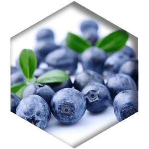 Bilberry Extract