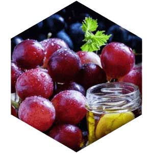 Grape Seed Extract