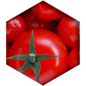 Lycopene