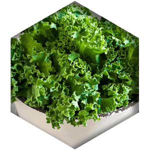 Zeaxanthin