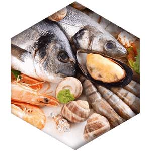 Zinc