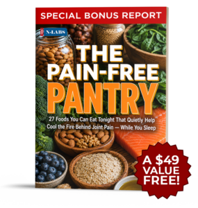 Free Bonus #2 The Pain-Free Pantry