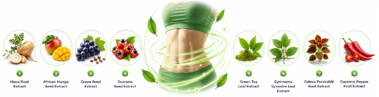 LipoBliss Ingredients