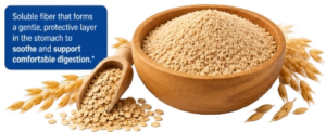 Oat Bran (Avena Sativa)